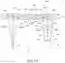 Fig. 14 - Virtual image display device including incident side and emission side diffraction elements