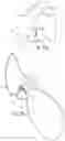Fig. 06 - Enhanced armless spectacles