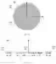 Fig. 05 - Transferable thin-film optical devices