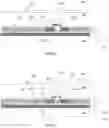Fig. 07 - Liquid crystal on silicon packaging