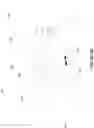 Fig. 17 - FABRICATION OF LOW DEFECTIVITY ELECTROCHROMIC DEVICES