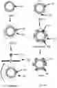 Fig. 13 - Switchable light-collimating layer including bistable electrophoretic fluid