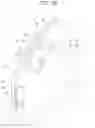 Fig. 30 - Imaging device
