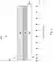 Fig. 09 - Pellicle for EUV mask and fabrication thereof