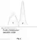 Fig. 07 - Magnetic carrier, two-component developer, replenishing developer, and image forming method