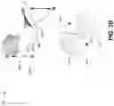 Fig. 12 - Optical security device based on a surface of revolution