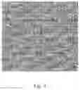 Fig. 05 - Near-eye device