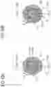 Fig. 43 - Force sense presenting object
