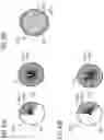 Fig. 44 - Force sense presenting object