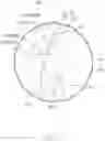 Fig. 04 - Curved or spherical touch device