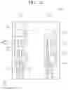 Fig. 28 - DISPLAY DEVICE