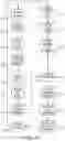 Fig. 34 - Apparatus and methods for enhancing digit separation and reproduction