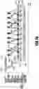 Fig. 17 - Feeding instruction apparatus, method of controlling feeding instruction apparatus, and storage medium