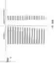 Fig. 12 - Method and system for elastic precision enhancement using dynamic shifting in neural networks