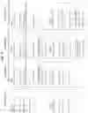 Fig. 05 - Embedding of multiple versions in monolithic applications during compilation