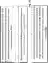 Fig. 38 - Program code transformations to improve image processor runtime efficiency