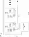 Fig. 02 - Semiconductor memory systems with on-die data buffering