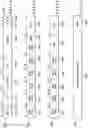 Fig. 07 - Superimposing butterfly network controls for pattern combinations