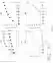 Fig. 10 - HARDWARE TRANSACTIONAL MEMORY (HTM) ASSISTED DATABASE TRANSACTIONS