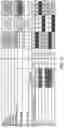 Fig. 19 - Patent mapping