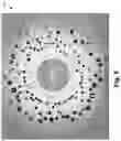 Fig. 07 - Contextual image presentation