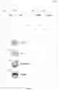 Fig. 04 - Real time synchronization of client device actions with presented content