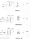 Fig. 08 - Queue identification