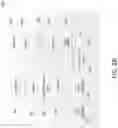 Fig. 04 - Contact creation and utilization