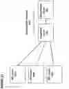 Fig. 45 - SERVER FOR CONFIGURING AND INTEGRATING OBJECTS FROM EXTERNAL LIBRARY INTO USER'S BUILDING INFORMATION MODEL AND DETERMINING COMPLIANCE WITH PREDETERMINED STANDARDS