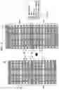 Fig. 06 - Integrated circuits including standard cells and methods of manufacturing the integrated circuits