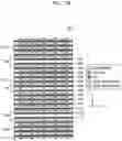Fig. 09 - Integrated circuits including standard cells and methods of manufacturing the integrated circuits