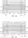 Fig. 11 - Semiconductor apparatus including uncrowned and crowned cells and method of making