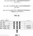 Fig. 08 - DATABASE RECORD ACCESS THROUGH USE OF A MULTI-VALUE ALTERNATE PRIMARY KEY