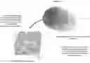 Fig. 01 - Optical sensing of fingerprints or other patterns on or near display screen using optical detectors integrated to display screen