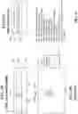 Fig. 23 - Optical sensing of fingerprints or other patterns on or near display screen using optical detectors integrated to display screen
