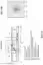 Fig. 27 - Optical sensing of fingerprints or other patterns on or near display screen using optical detectors integrated to display screen