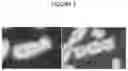 Fig. 02 - Smart microscope system for radiation biodosimetry