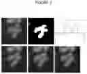 Fig. 04 - Smart microscope system for radiation biodosimetry