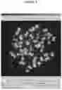 Fig. 05 - Smart microscope system for radiation biodosimetry