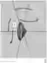 Fig. 06 - Gemological object recognition