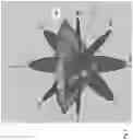Fig. 08 - Gemological object recognition