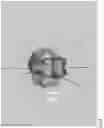 Fig. 09 - Gemological object recognition