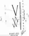 Fig. 06 - Multidimensional analysis of gait in rodent