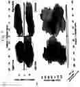 Fig. 08 - Multidimensional analysis of gait in rodent
