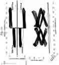 Fig. 11 - Multidimensional analysis of gait in rodent