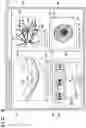 Fig. 07 - Image processing system, processing method, and storage medium