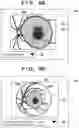 Fig. 10 - Image processing system, processing method, and storage medium