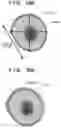 Fig. 20 - Image processing system, processing method, and storage medium
