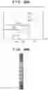 Fig. 21 - Image processing system, processing method, and storage medium