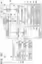 Fig. 23 - Image processing system, processing method, and storage medium